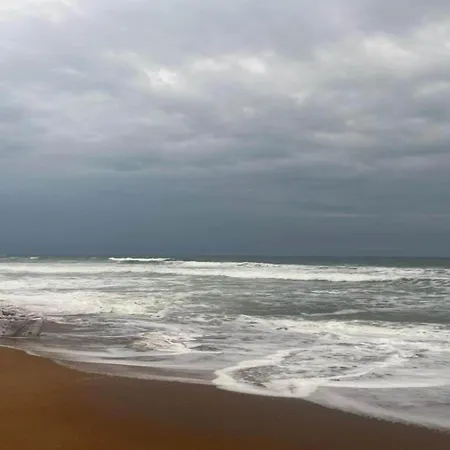 Gem Near Beach, Cleaning Included Apartamento